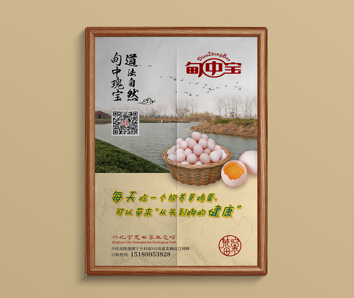 甸中寶宣傳海報設(shè)計