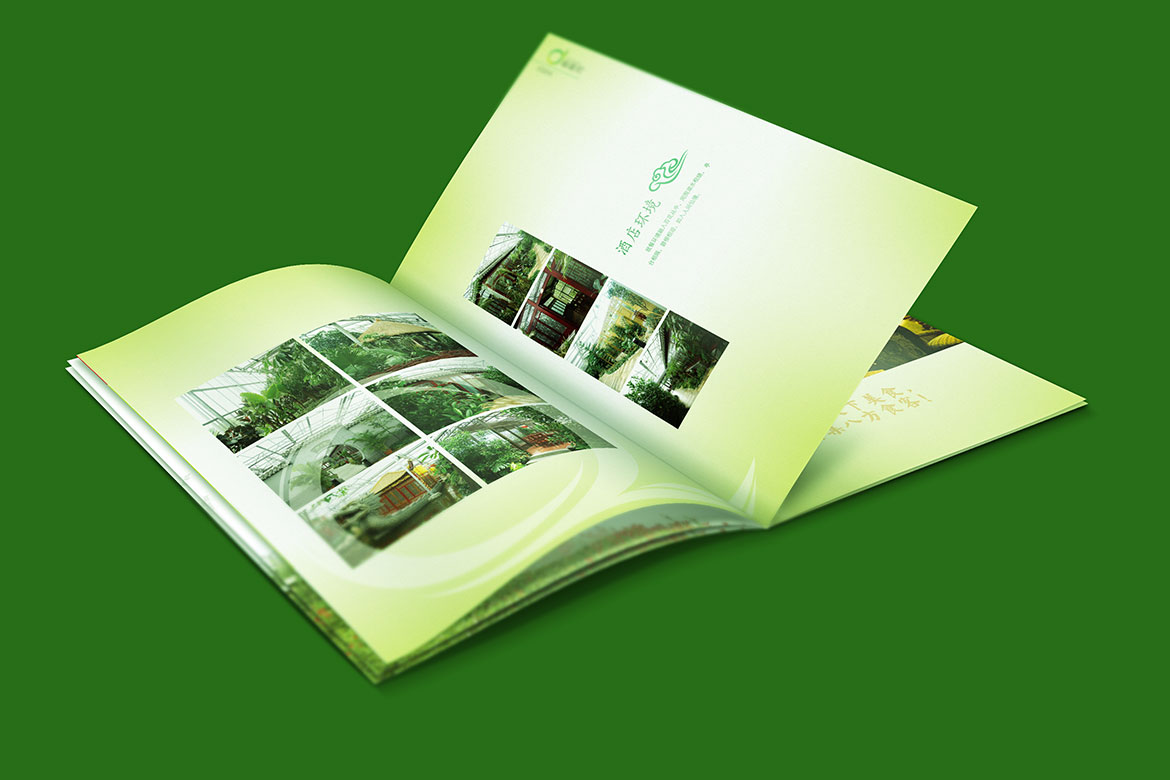 酒店管理品牌麒麟灣企業(yè)畫冊設(shè)計 麒麟灣宣傳冊內(nèi)頁酒店環(huán)境設(shè)計