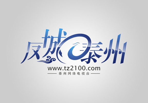 鳳城泰州網(wǎng)站logo設(shè)計