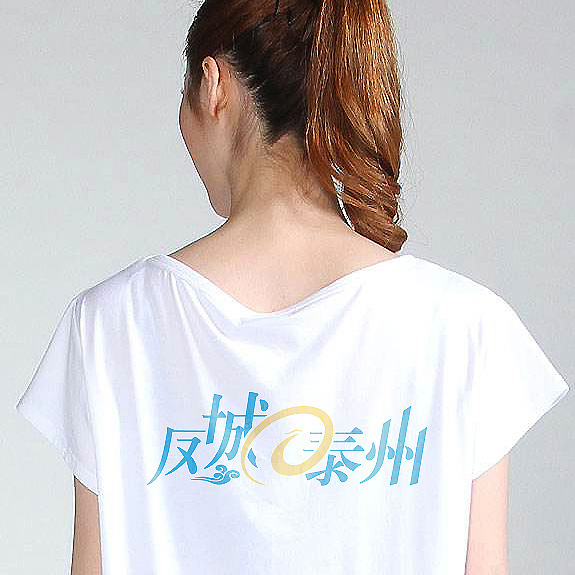 鳳城泰州網(wǎng)站高端VI設(shè)計
